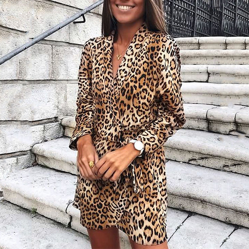 Leopard Print Long Sleeve V-Neck Irregular Dress