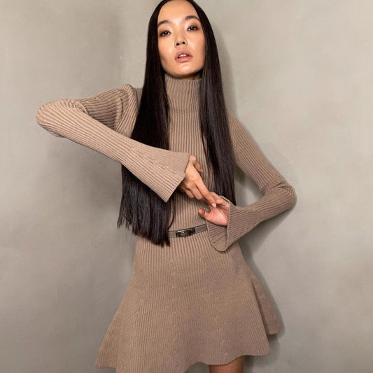 Autumn And Winter Long Sleeves Solid Color Top Turtleneck Sweater High Waist Tight Short Knitted A- Line Dress