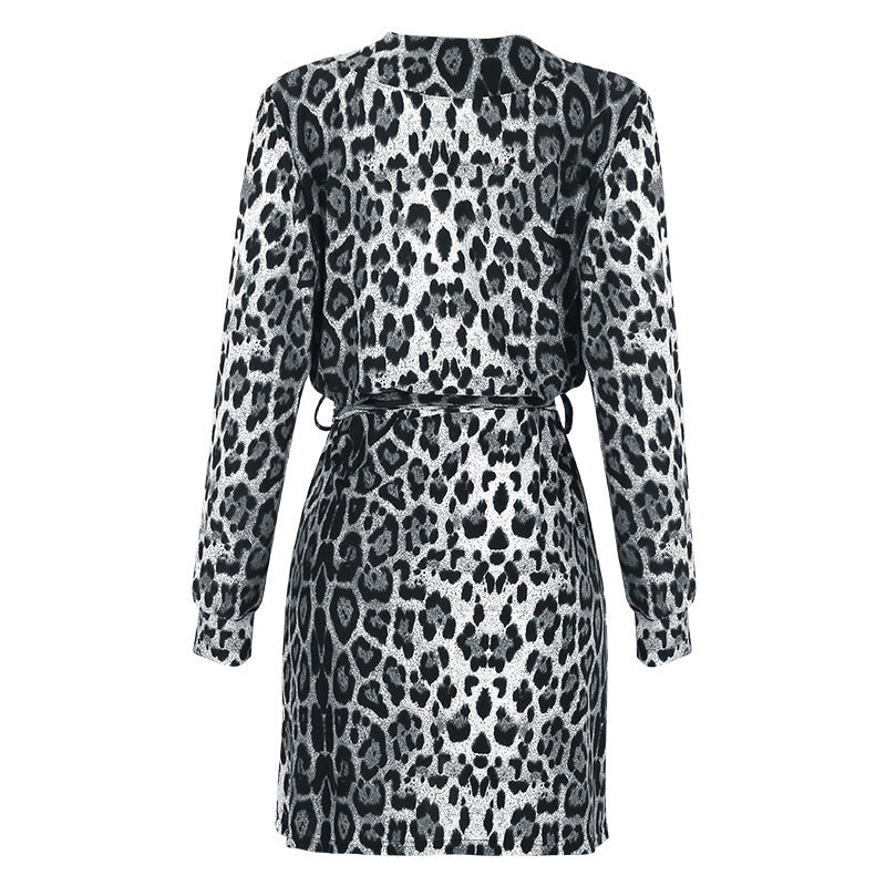 Leopard Print Long Sleeve V-Neck Irregular Dress