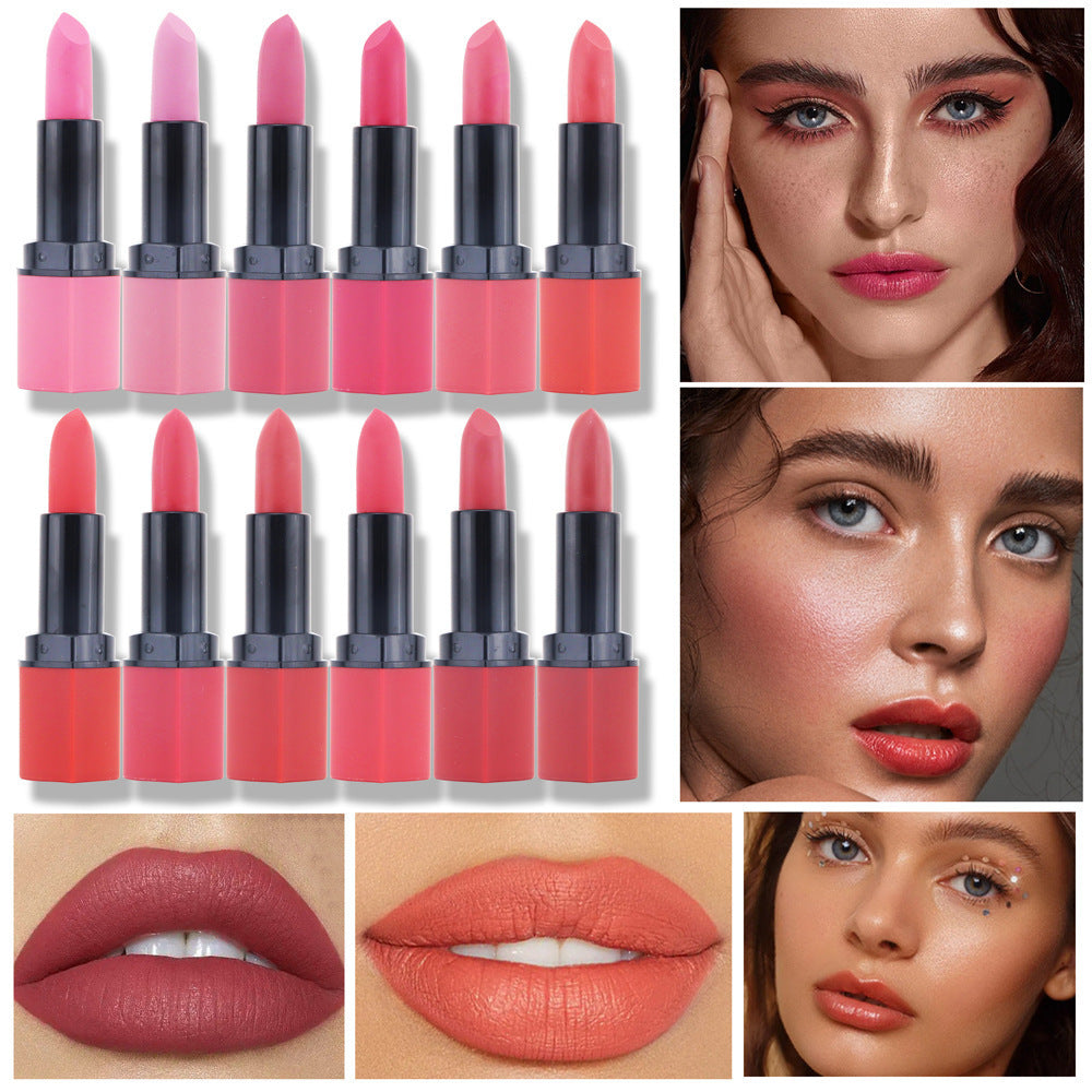 Modestudent Party Multicolor Nude Lippenstift